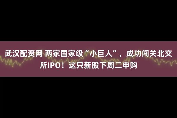 武汉配资网 两家国家级“小巨人”，成功闯关北交所IPO！这只新股下周二申购