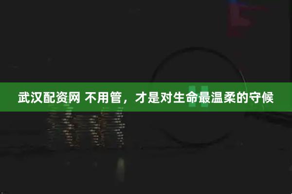 武汉配资网 不用管，才是对生命最温柔的守候