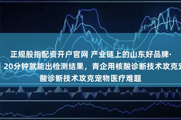 正规股指配资开户官网 产业链上的山东好品牌·青岛新力量｜20分钟就能出检测结果，青企用核酸诊断技术攻克宠物医疗难题