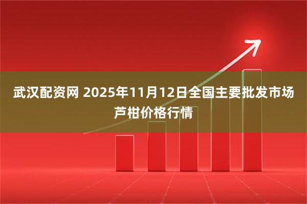 武汉配资网 2025年11月12日全国主要批发市场芦柑价格行情