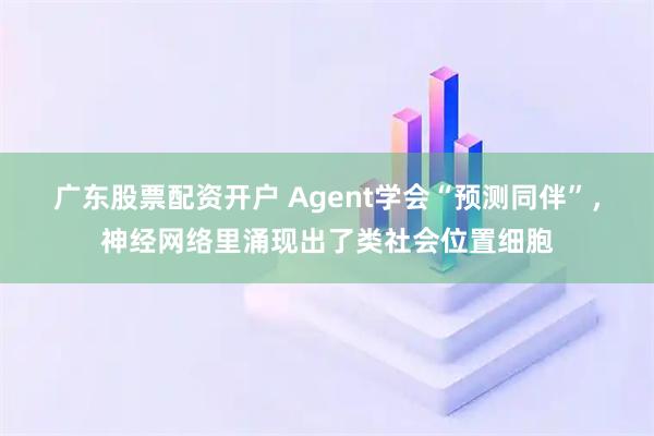 广东股票配资开户 Agent学会“预测同伴”，神经网络里涌现出了类社会位置细胞