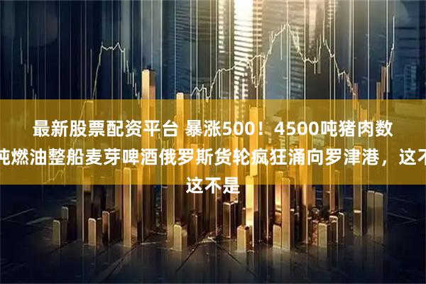 最新股票配资平台 暴涨500！4500吨猪肉数万吨燃油整船麦芽啤酒俄罗斯货轮疯狂涌向罗津港，这不是